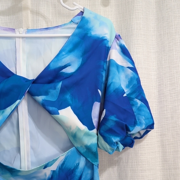 Blue Floral Dress - Picture 6 of 16